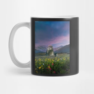 Flower Fields Mug